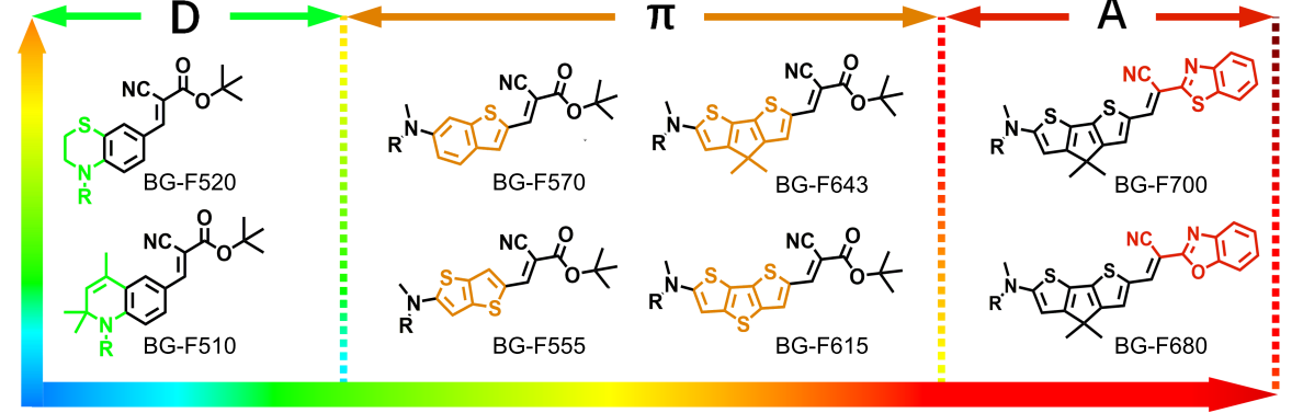 BGF ligands for SNAP-tag mimics of fluorescent proteins