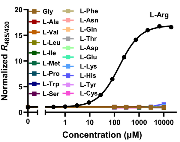 STAR sensor for arginine