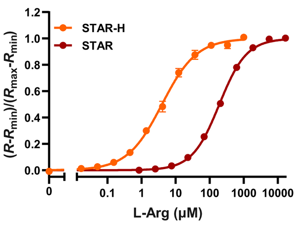 STAR sensor for arginine