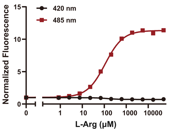 STAR sensor for arginine