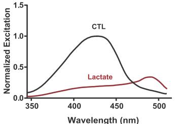 FiLa sensor for lactate